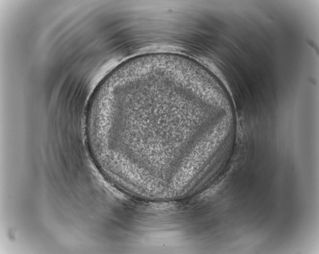 X0000102460997200808291538