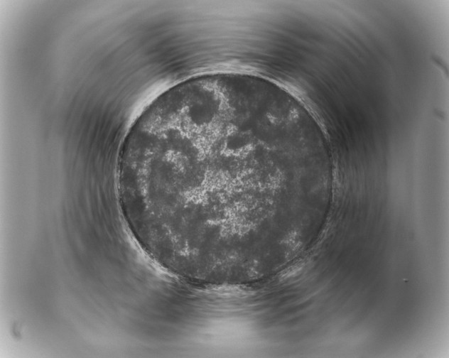 X0000102460998200808291538