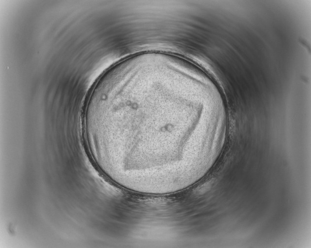 X0000102460999200808291538