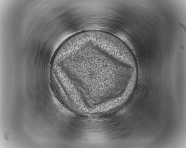 X0000102461000200808291538