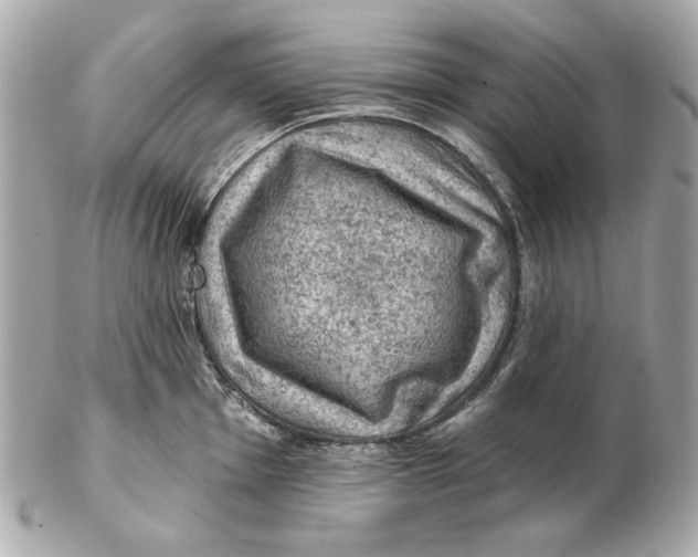 X0000102461001200808291538