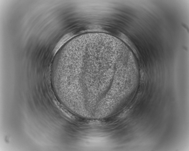 X0000102461002200808291538