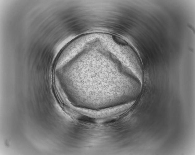 X0000102461003200808291538