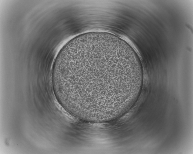 X0000102461004200808291538