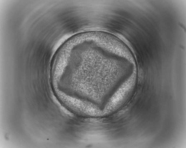 X0000102461005200808291538