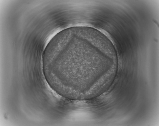 X0000102461006200808291538