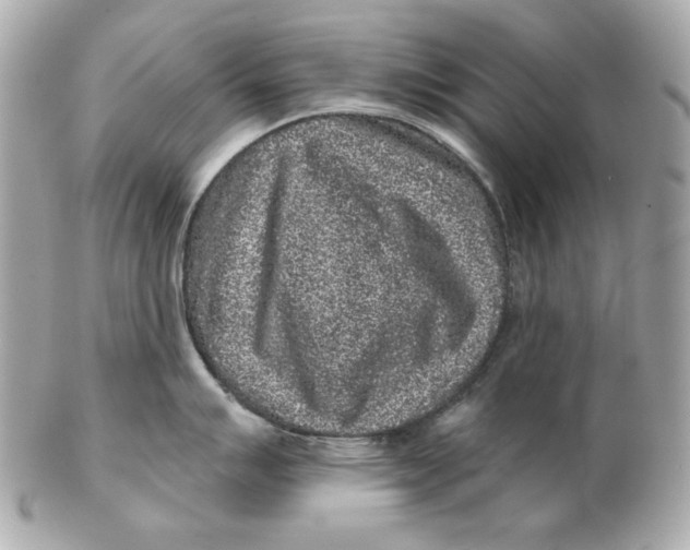 X0000102461007200808291538