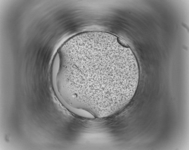 X0000102461008200808291538