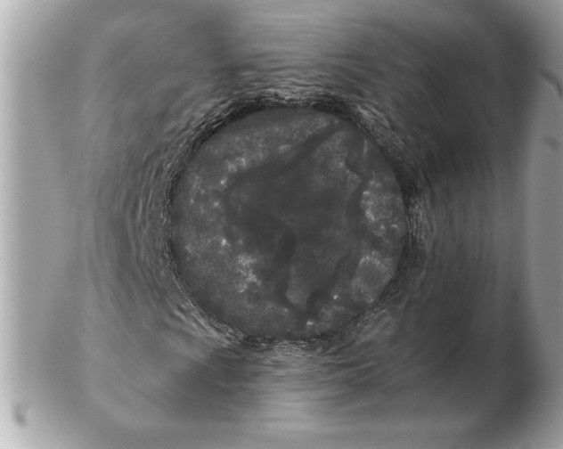 X0000102461009200808291537