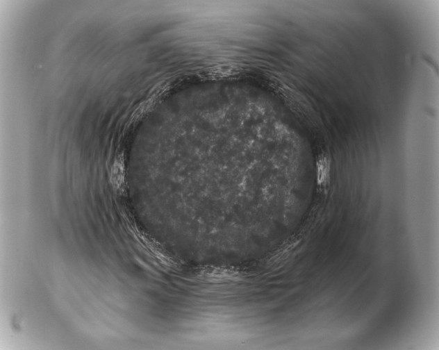 X0000102461011200808291537