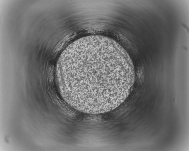 X0000102461012200808291537