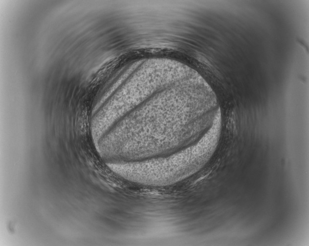 X0000102461014200808291537