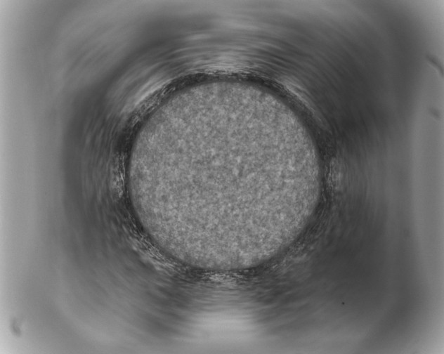 X0000102461015200808291537