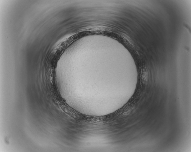 X0000102461016200808291537