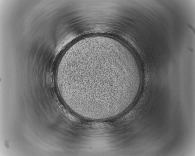 X0000102461018200808291537