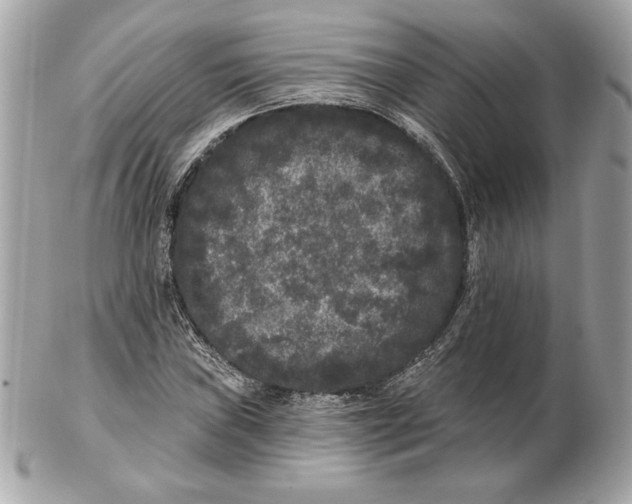 X0000102461019200808291537