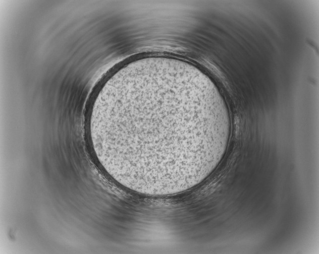 X0000102461020200808291537