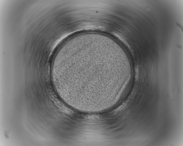 X0000102461021200808291537