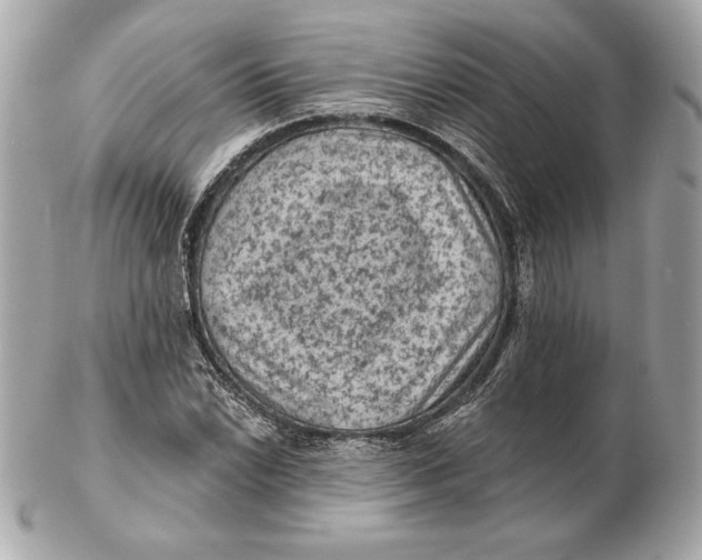 X0000102461022200808291537