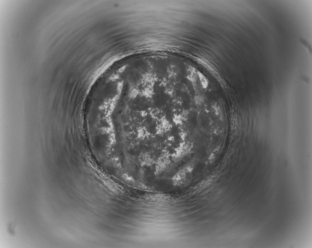 X0000102461023200808291537