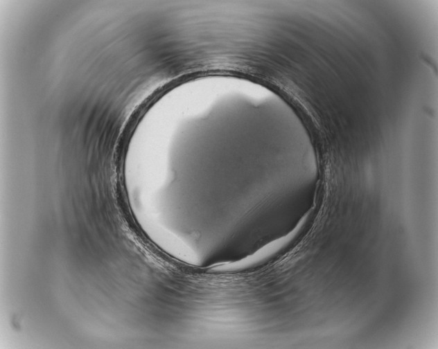 X0000102461024200808291537