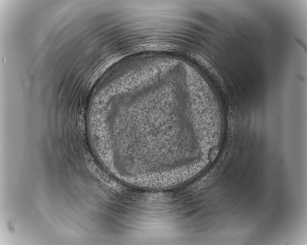 X0000102461025200808291537