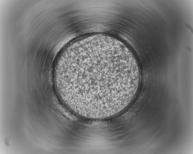 X0000102461026200808291537