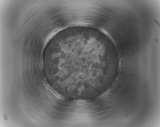 X0000102461027200808291537