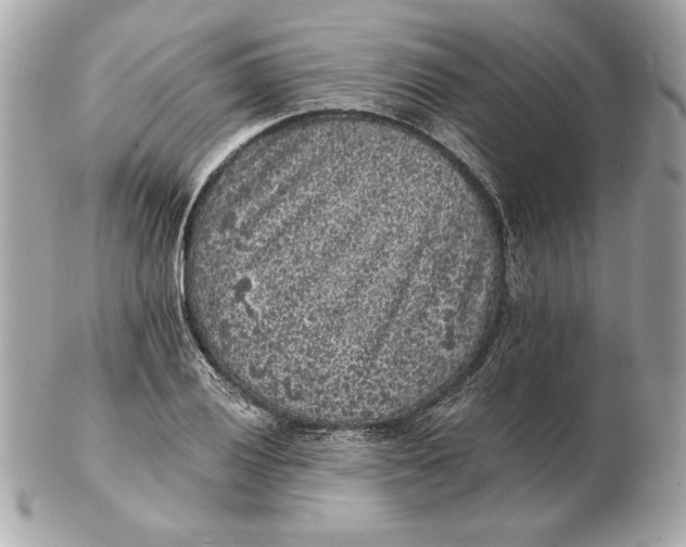 X0000102461028200808291537