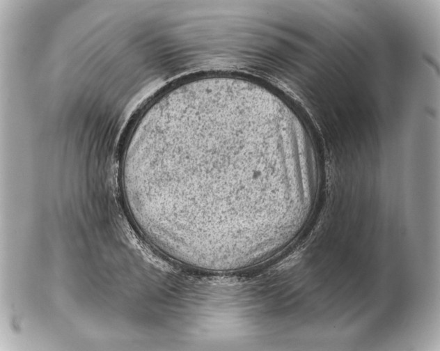 X0000102461029200808291537