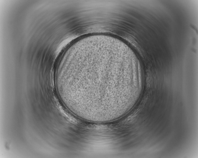 X0000102461030200808291538