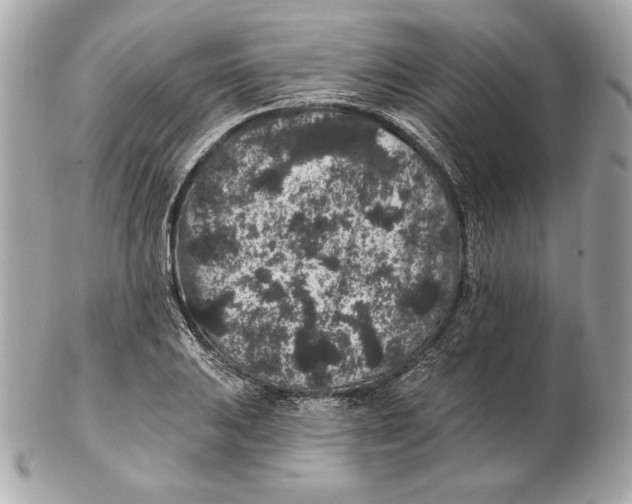 X0000102461031200808291538