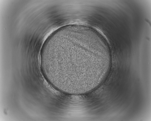 X0000102461032200808291538