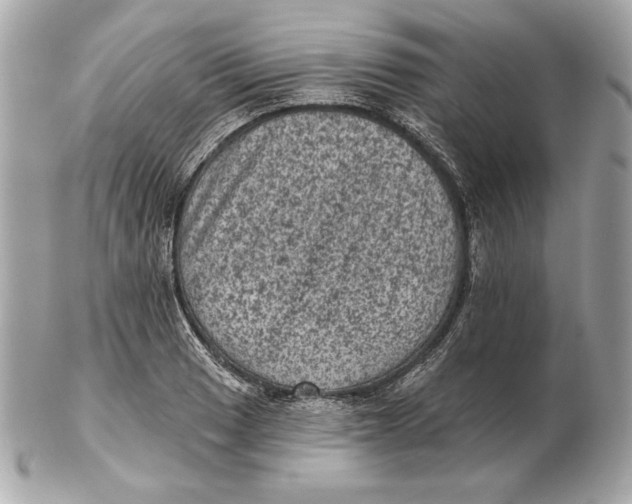 X0000102461033200808291538