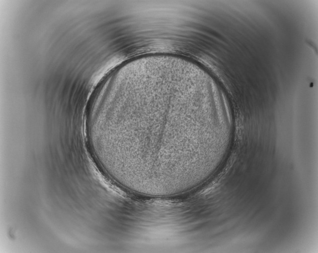 X0000102461034200808291538