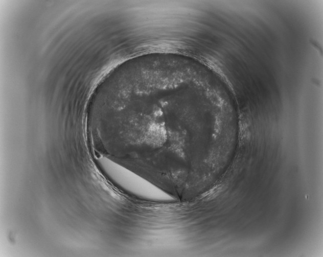 X0000102461035200808291538