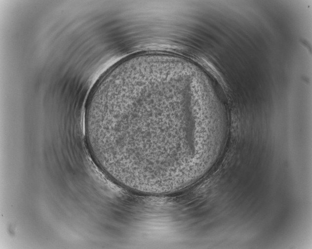 X0000102461036200808291538