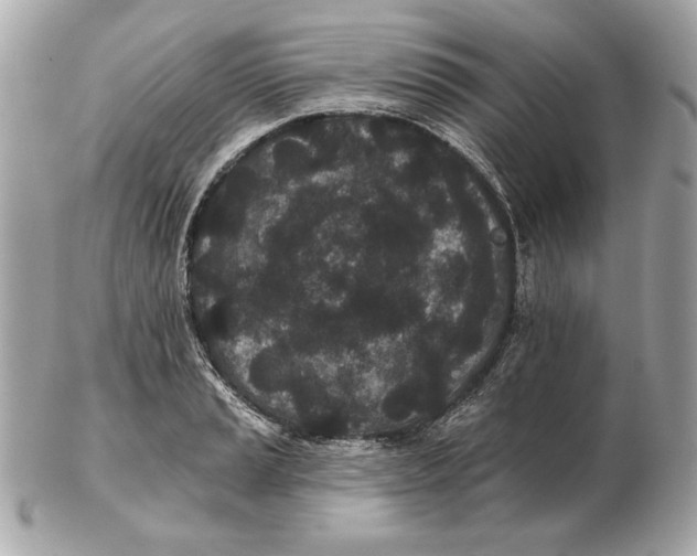 X0000102461037200808291538