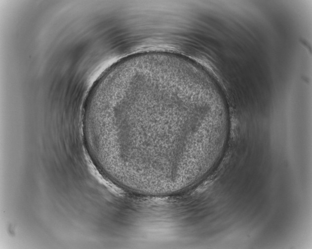 X0000102461038200808291538