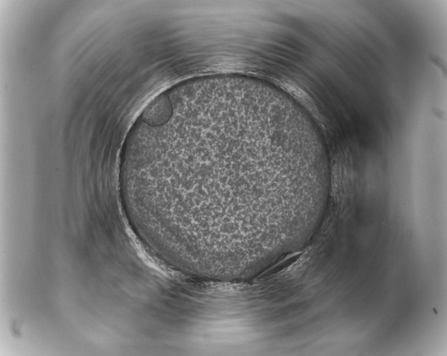 X0000102461039200808291538