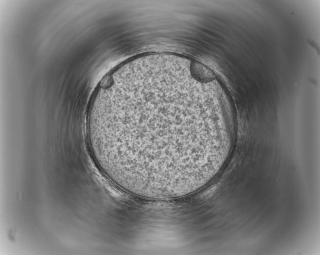 X0000102461040200808291538