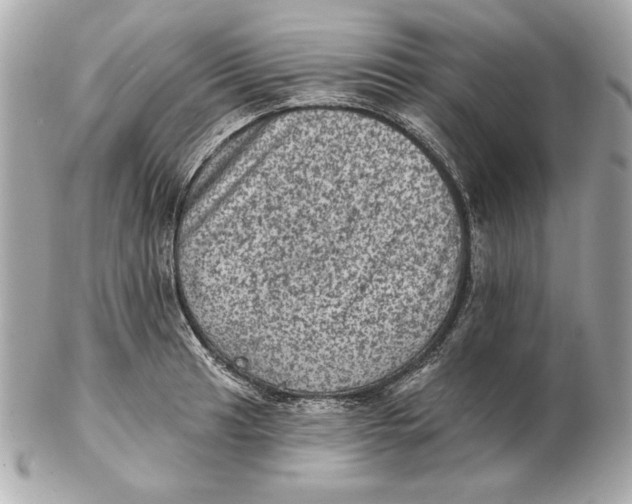 X0000102461041200808291538