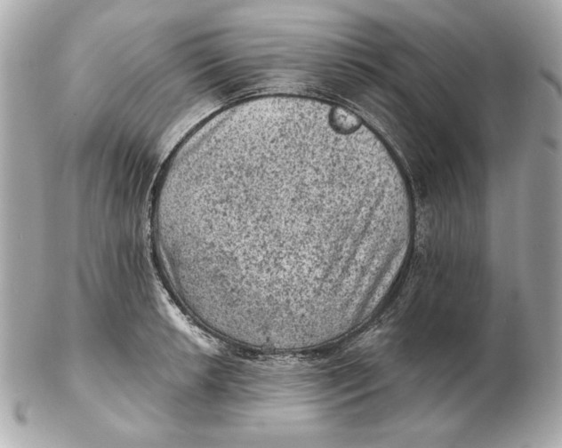 X0000102461042200808291538