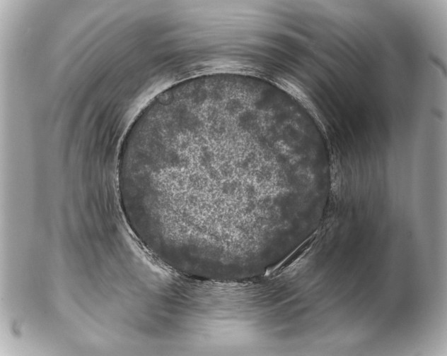 X0000102461043200808291538