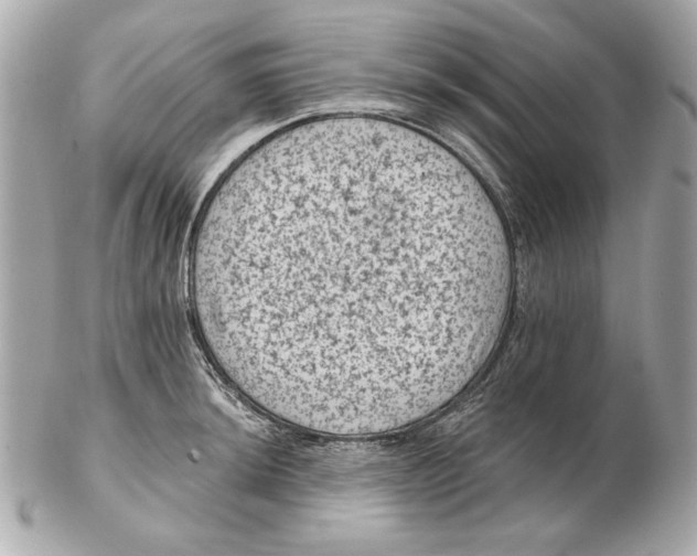 X0000102461044200808291538