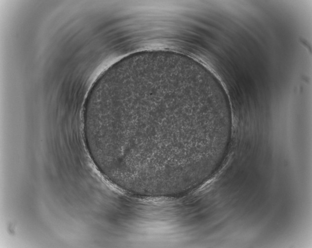 X0000102461045200808291538