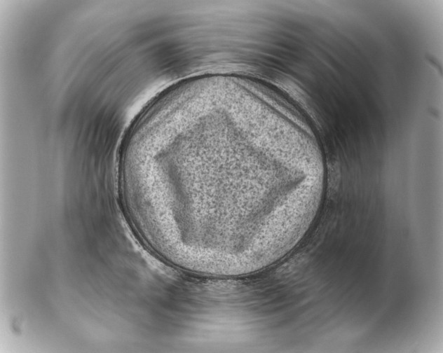 X0000102461046200808291538