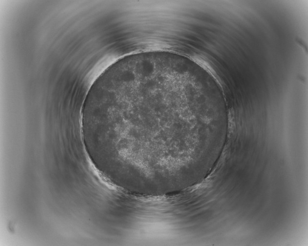 X0000102461047200808291538