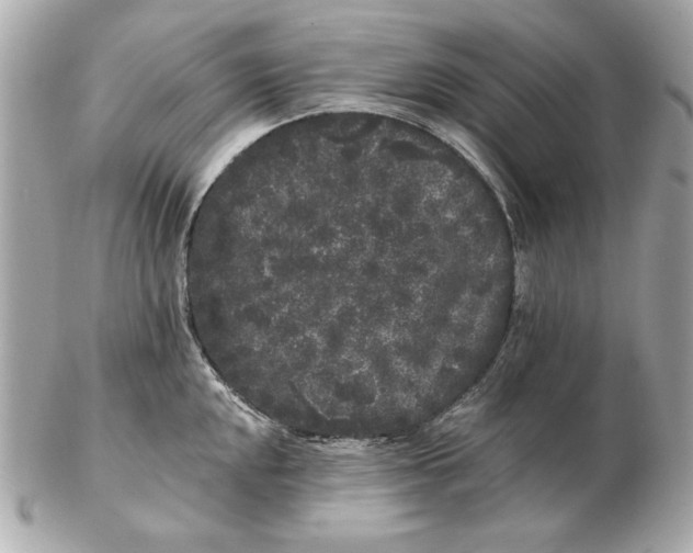 X0000102461048200808291538