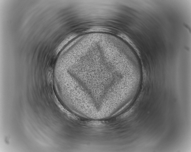 X0000102461049200808291538